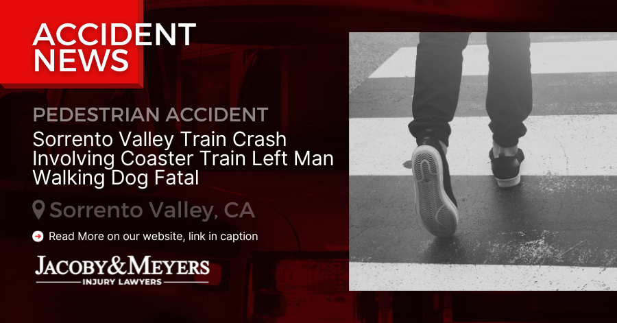 Sorrento Valley Train Crash Involving Coaster Train Left Man Walking Dog Fatal