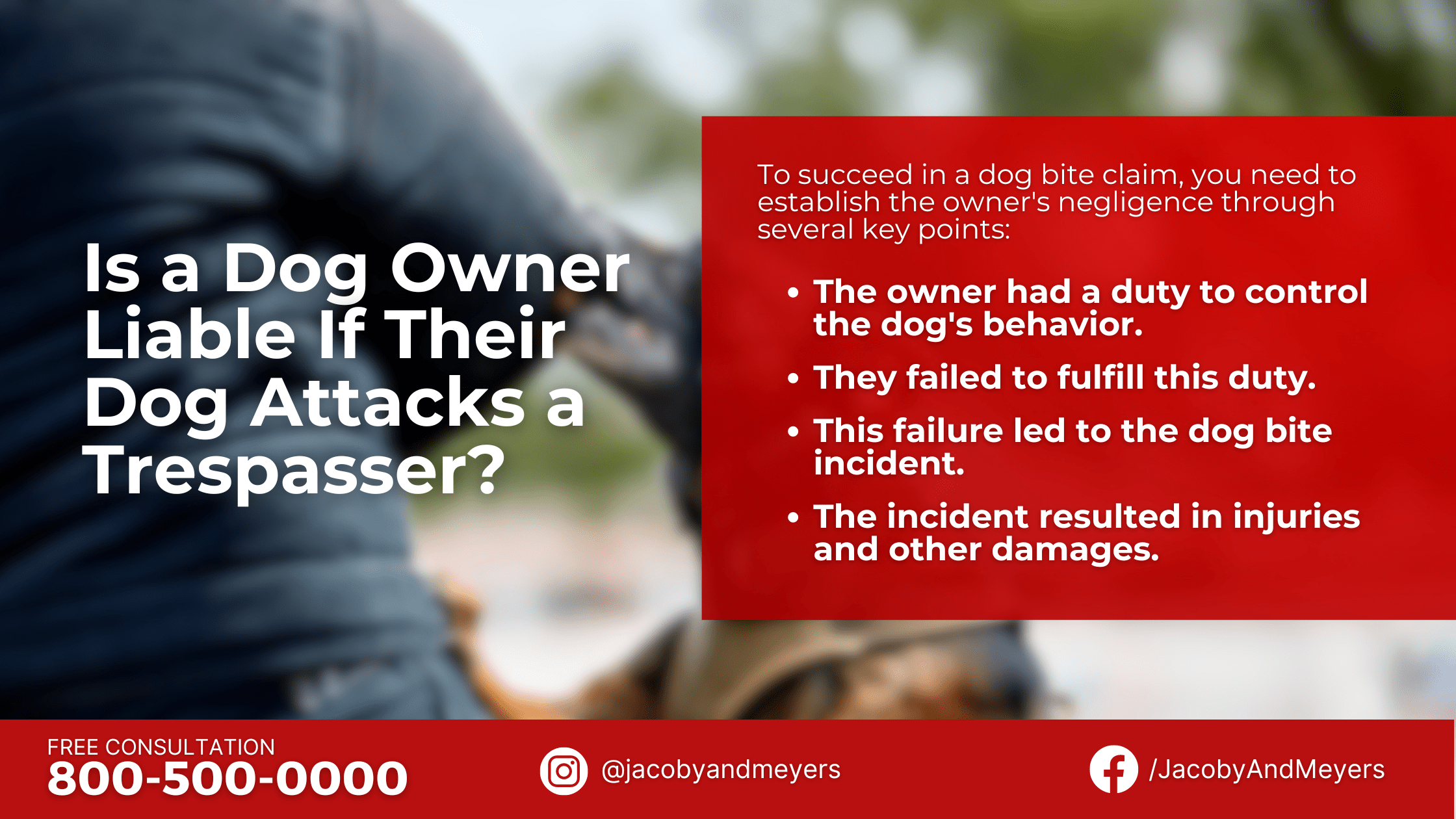 Is a Dog Owner Liable If Their Dog Attacks a Trespasser?