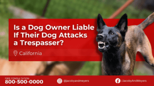 Is a Dog Owner Liable If Their Dog Attacks a Trespasser?